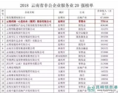云南非公企業百強發布 一心堂位居第五