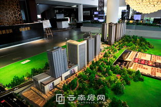 譽峰國際8月銷售創佳績 投資型產品受青睞