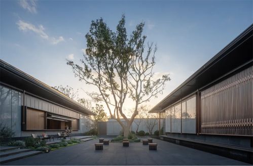 創(chuàng)新式傳承 建發(fā)房產(chǎn)新品 詩意東方 正式發(fā)布