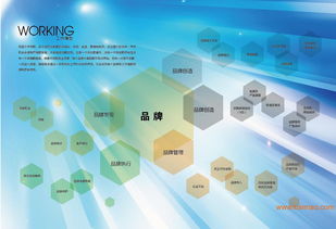 沈陽品牌設計策劃全鏈條服務 從VI、畫冊到店面裝修與互聯(lián)網(wǎng)營銷的整合方案